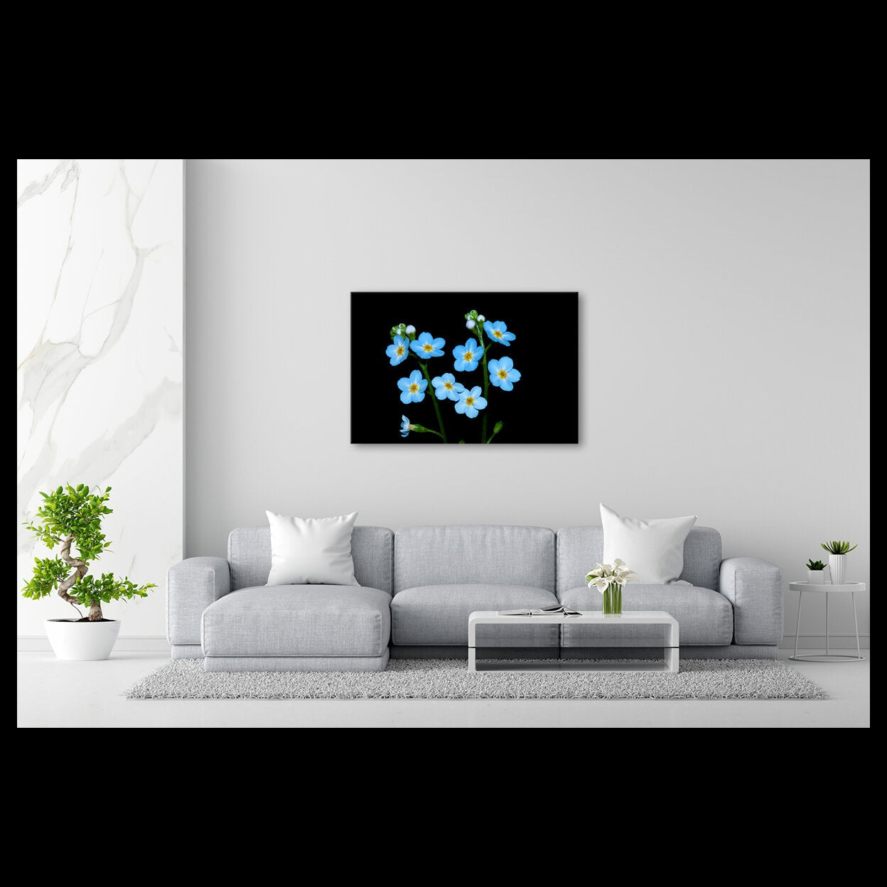 Forget me not best wall decoration for your home.